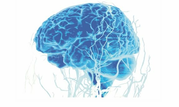 Konferencja naukowo-szkoleniowa dla lekarzy "Choroba Parkinsona w praktyce neurologa"