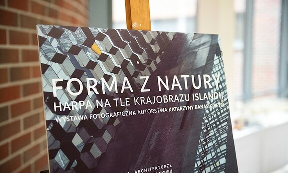 Forma z natury. Harpa na tle krajobrazu Islandii